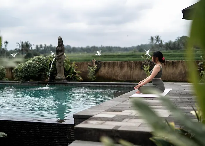 Padi Bali With Private Jacuzzi Villa Payangan
